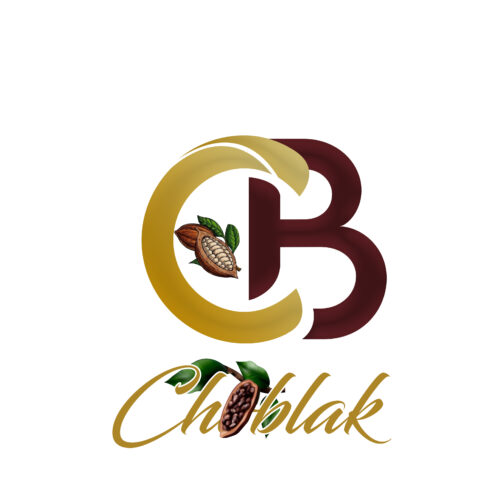 Conception de logo élégant et attrayant pour mini projet – Image 5