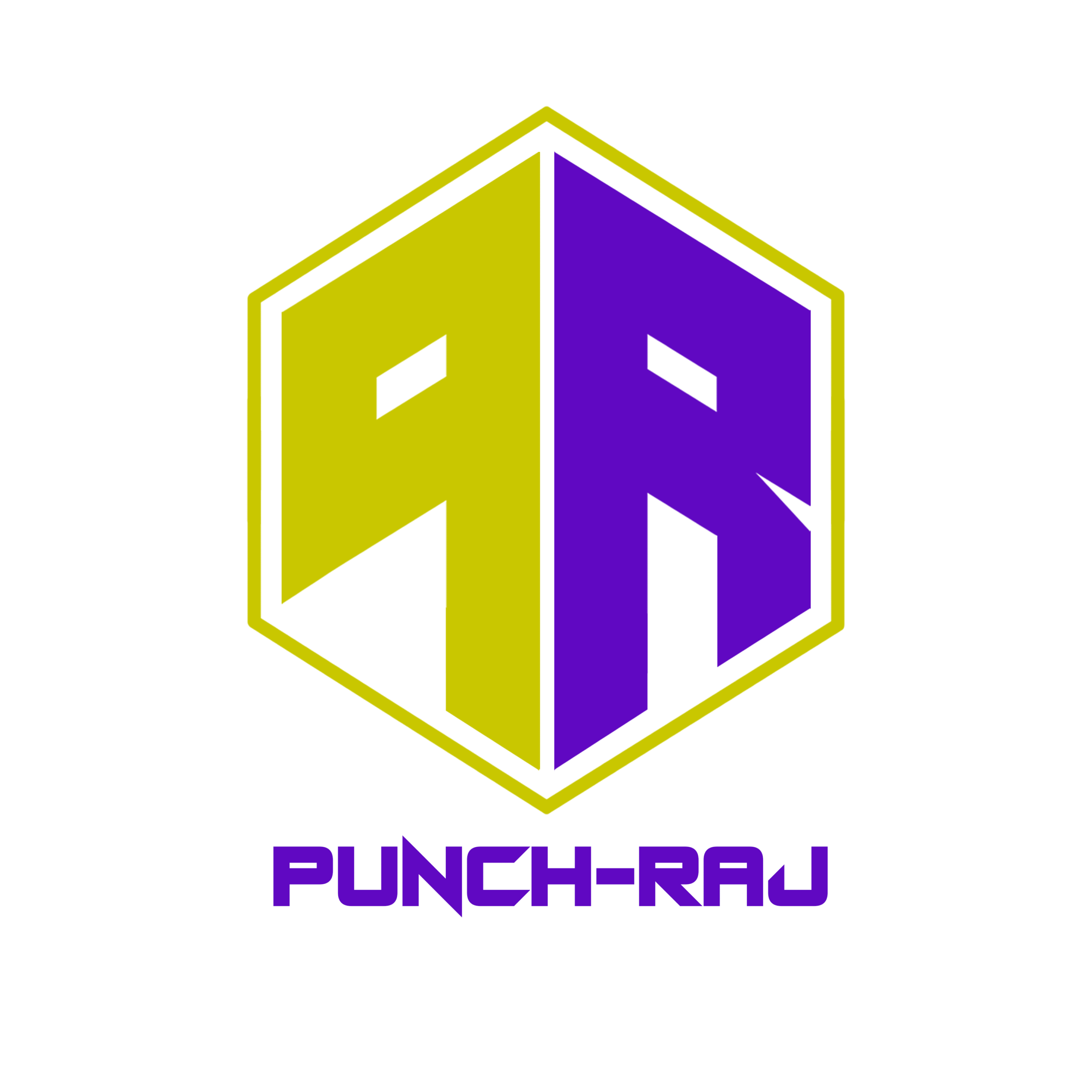 Punch-Raj-Logo-Design-1 (1)